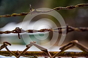 Rusty barbed wire