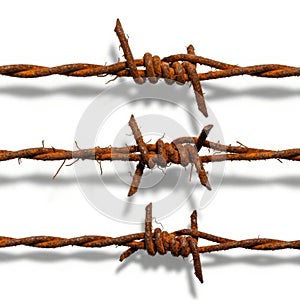 Rusty barbed wire with sharp points on white background