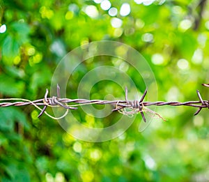 Rusty barbed wire spike twisted with old rope against green bokeh background