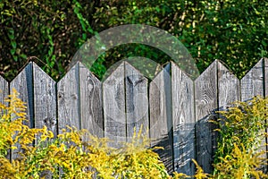 rusty barbed wire on top of old wooden fence