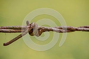 Rusty barbed wire up close