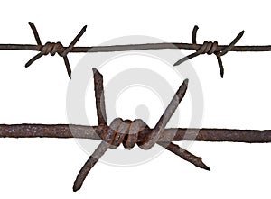 Rusty barbed wire on white background