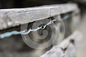 Rusty barbed wire on a wooden fence.