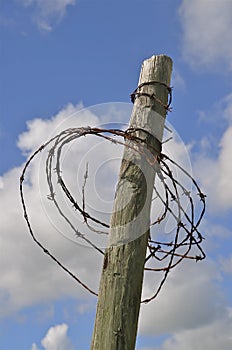 Rusty barbed wire wrapped around post