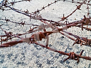 Rusty barbed wires photo