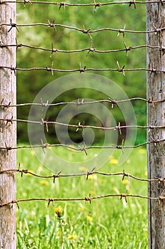 Rusty barbed wires stretched between wooden fence posts with green meadow on the background