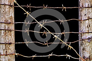 Rusty barbed wires stretched between wooden fence posts isolated on black