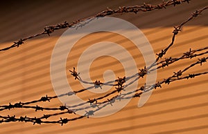 Rusty barbed writ on the brown background.