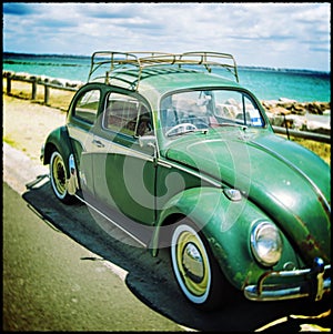 Rusty Beetle by the sea