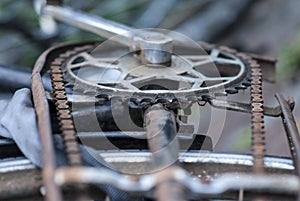 Rusty Bicycle chainwheel