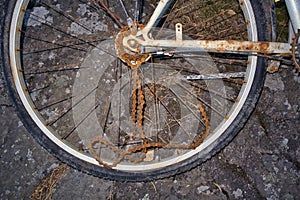 Rusty bicycle salvaged from the water