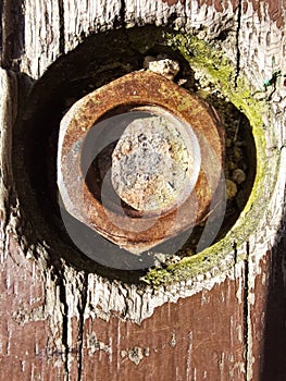 Rusty bolt close-up. Macro photography
