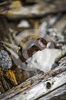 Rusty Bolt