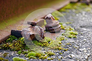 Rusty bolt, screw and screw nut of old light rail steel beam