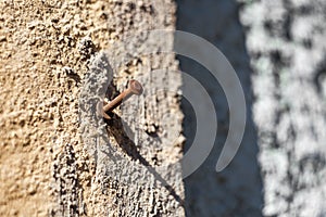 Rusty bolt screwed into a old stone wall