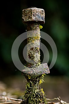 Rusty bolt stuck in concrete