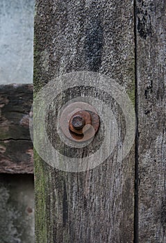 Rusty Bolt on Wood.