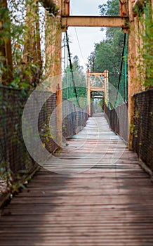 Rusty bridge over the river in a forgotten place, with shrubs and bushes everywhere