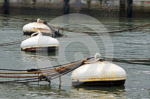 Rusty buoys in port water