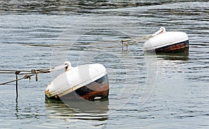 Rusty buoys in port water