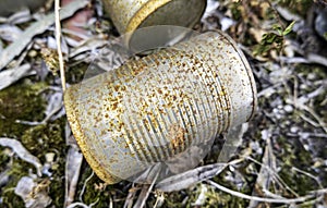 Rusty can in nature