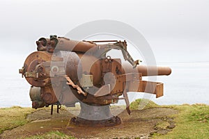 Rusty cannon from the World War 2 era