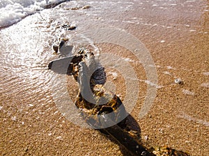 rusty chain on the beach close-up