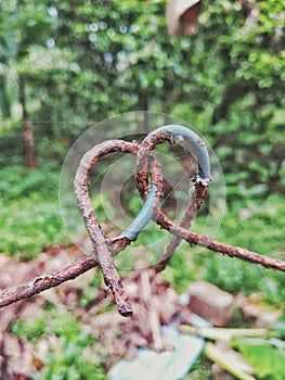 Rusty chain link