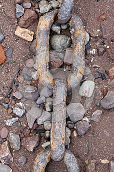 Rusty Chain on Pebble Beach