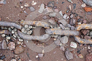 Rusty Chain on Pebble Beach