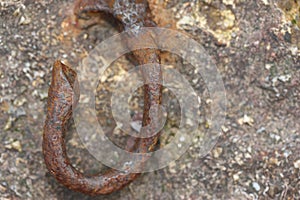 Rusty Chain on Pebble Beach
