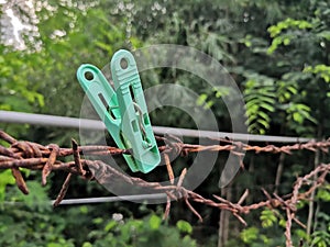 The rusty cloth clip on the barbed wire