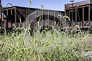 Rusty Coal Cars