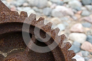 Rusty cogwheel or gear