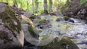 Rusty creek at Zelenogorsk, Russia with stones in a front