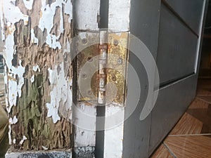 Rusty door hinges