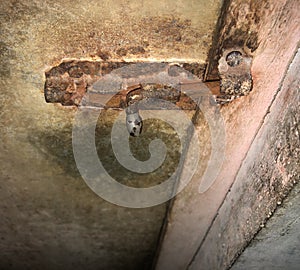 A rusty door lock