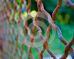 Rusty fence