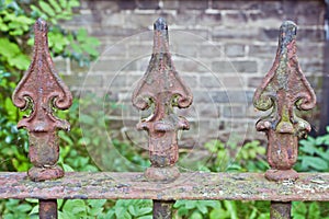 Rusty fence spikes