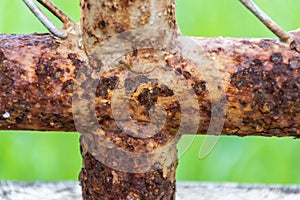 Rusty fence steel