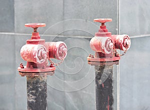 Rusty fire hydrant