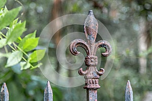 Rusty Fleur De Lis fence spike ornament