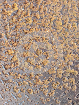 Rusty on floor plates