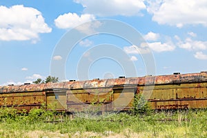 Rusty Freight Cars in Weeds