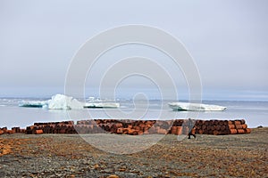 Rusty fuel drums on Arctic coast