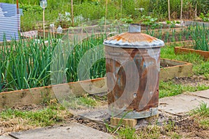 Rusty garden incinerator with plants in background