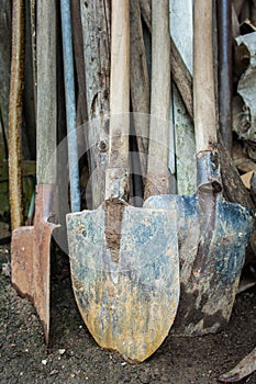 Rusty gardening tools