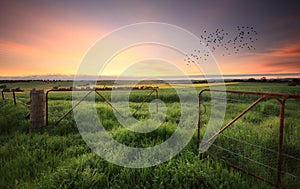 Rusty gates open to wheat and canola crops