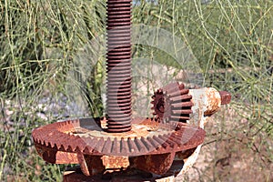 Rusty gear from an old water valve