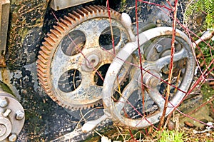 Rusty gear-wheel